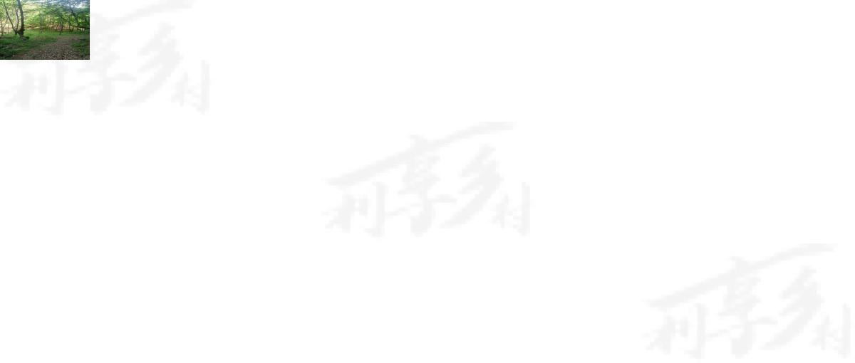 土地图片